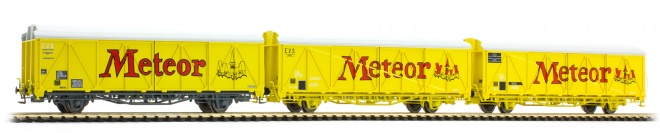 Set of 3 slide wall box cars METEOR type His<br /><a href='images/pictures/LS_Models/261750_c.jpg' target='_blank'>Full size image</a>